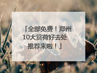 全部免费！郑州10大赏荷好去处推荐来啦！