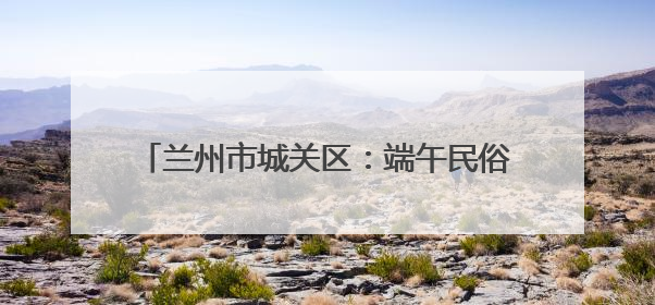 兰州市城关区：端午民俗进社区 传统文化润民心