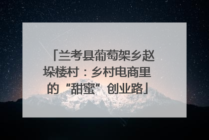 兰考县葡萄架乡赵垛楼村：乡村电商里的“甜蜜”创业路