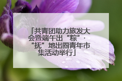 共青团助力旅发大会暨端午出“粽”·“抚”地出圈青年市集活动举行