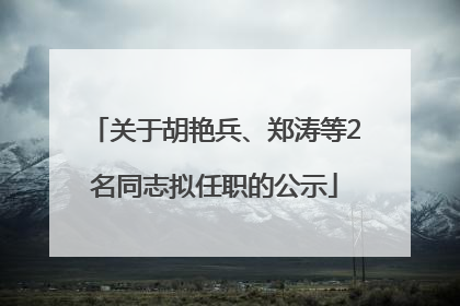 关于胡艳兵、郑涛等2名同志拟任职的公示