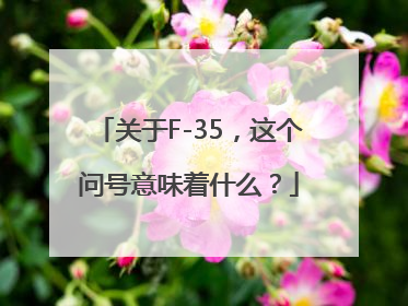 关于F-35，这个问号意味着什么？