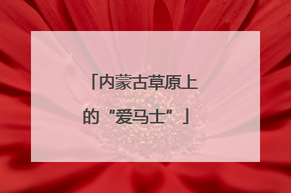 内蒙古草原上的“爱马士”