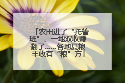 农田进了“托管班”、一地双收赚翻了……各地夏粮丰收有“粮”方