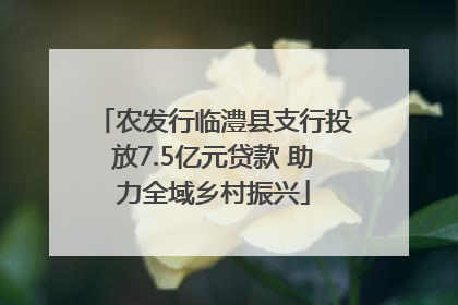 农发行临澧县支行投放7.5亿元贷款 助力全域乡村振兴