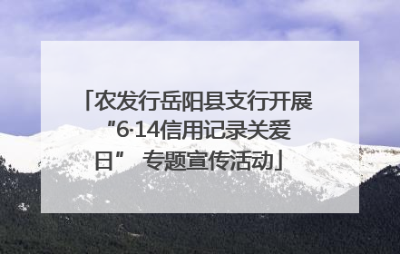 农发行岳阳县支行开展“6·14信用记录关爱日” 专题宣传活动