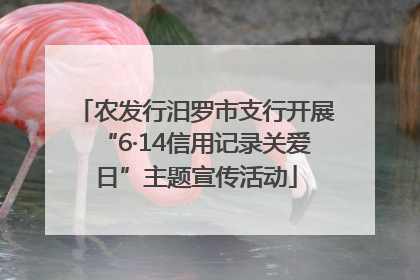 农发行汨罗市支行开展“6·14信用记录关爱日”主题宣传活动