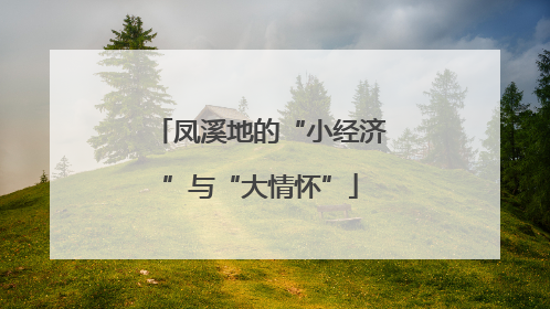 凤溪地的“小经济”与“大情怀”