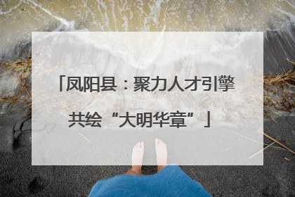 凤阳县：聚力人才引擎 共绘“大明华章”