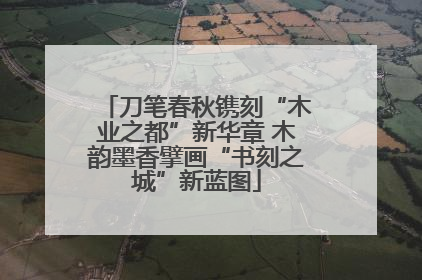 刀笔春秋镌刻“木业之都”新华章 木韵墨香擘画“书刻之城”新蓝图