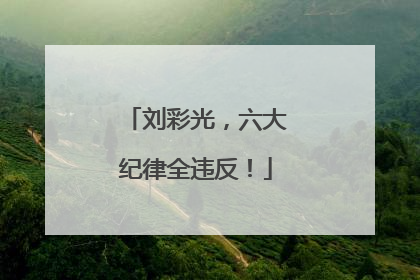 刘彩光，六大纪律全违反！