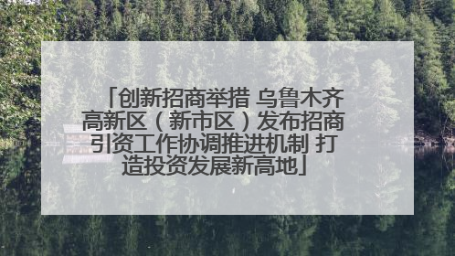 创新招商举措 乌鲁木齐高新区（新市区）发布招商引资工作协调推进机制 打造投资发展新高地