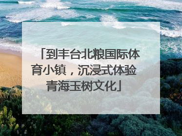 到丰台北粮国际体育小镇，沉浸式体验青海玉树文化