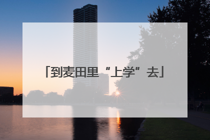 到麦田里“上学”去