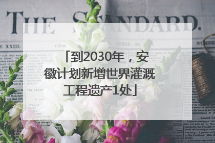 到2030年，安徽计划新增世界灌溉工程遗产1处