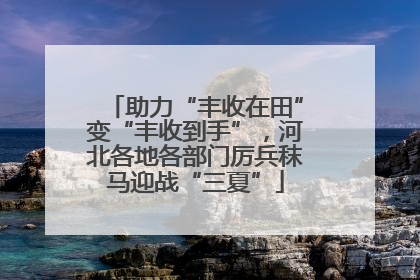 助力“丰收在田”变“丰收到手”，河北各地各部门厉兵秣马迎战“三夏”
