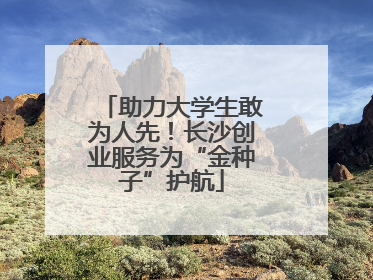 助力大学生敢为人先！长沙创业服务为“金种子”护航