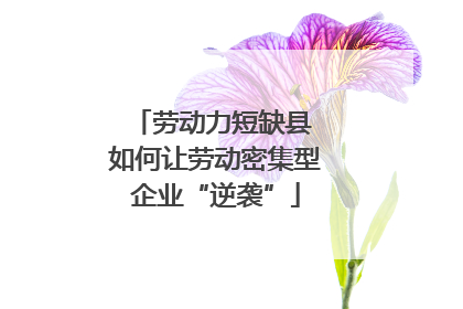 劳动力短缺县 如何让劳动密集型企业“逆袭”