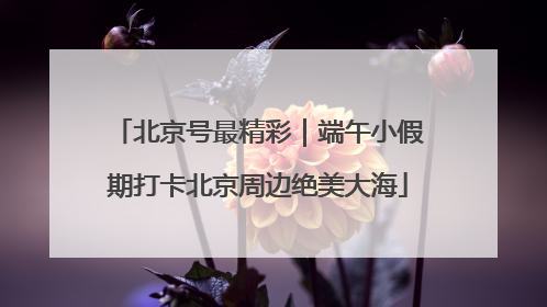北京号最精彩｜端午小假期打卡北京周边绝美大海