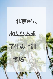 北京密云水库鸟岛成了生态“训练场”