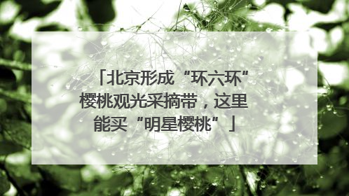 北京形成“环六环”樱桃观光采摘带，这里能买“明星樱桃”