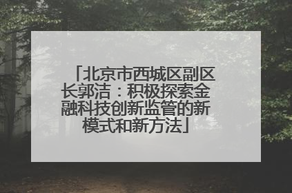 北京市西城区副区长郭洁：积极探索金融科技创新监管的新模式和新方法