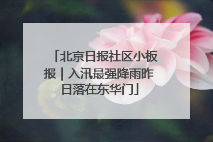 北京日报社区小板报｜入汛最强降雨昨日落在东华门