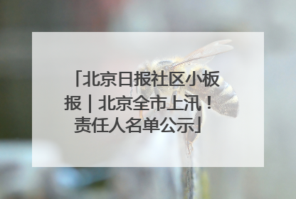 北京日报社区小板报｜北京全市上汛！责任人名单公示