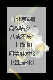 北京朝阳高碑店乡“店念不忘” 上线 如何精准对接民生需求
