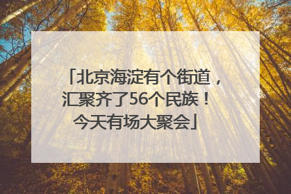 北京海淀有个街道，汇聚齐了56个民族！今天有场大聚会