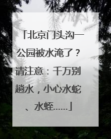 北京门头沟一公园被水淹了？请注意：千万别趟水，小心水蛇、水蛭……