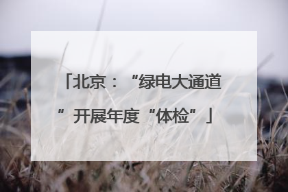 北京：“绿电大通道”开展年度“体检”