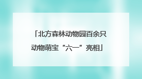 北方森林动物园百余只动物萌宝“六一”亮相