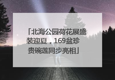 北海公园荷花展盛装迎夏，169盆珍贵碗莲同步亮相