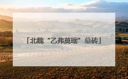 北魏“乙弗莫瓌”墓砖