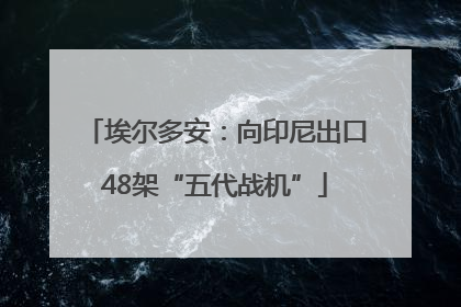 埃尔多安：向印尼出口48架“五代战机”