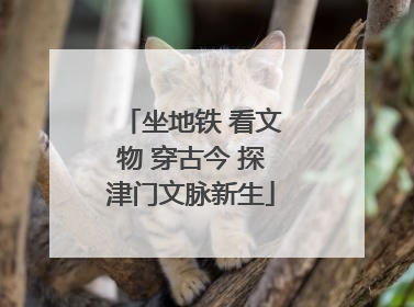 坐地铁 看文物 穿古今 探津门文脉新生