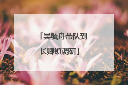吴毓舟带队到长卿镇调研