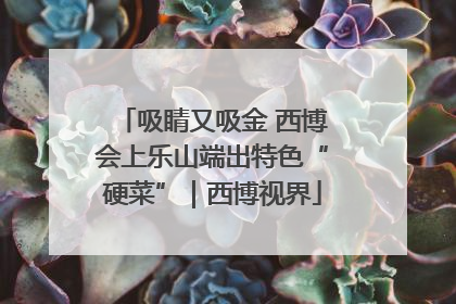 吸睛又吸金 西博会上乐山端出特色“硬菜”｜西博视界