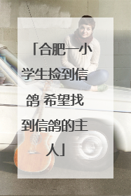 合肥一小学生捡到信鸽 希望找到信鸽的主人