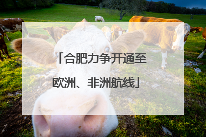 合肥力争开通至欧洲、非洲航线