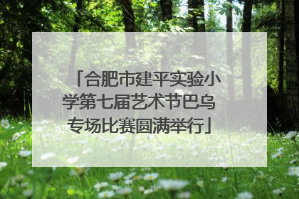 合肥市建平实验小学第七届艺术节巴乌专场比赛圆满举行