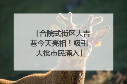 合院式街区大吉巷今天亮相！吸引大批市民涌入