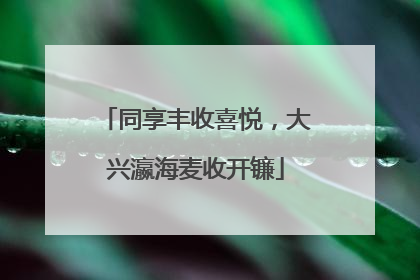 同享丰收喜悦，大兴瀛海麦收开镰
