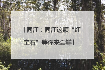 同江：同江这颗“红宝石”等你来尝鲜