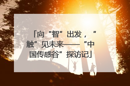 向“智”出发，“触”见未来——“中国传感谷”探访记