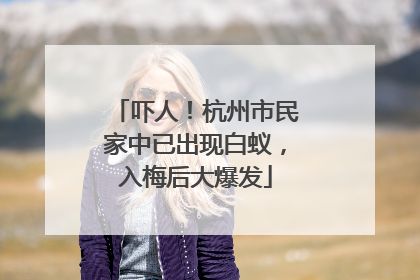 吓人！杭州市民家中已出现白蚁，入梅后大爆发