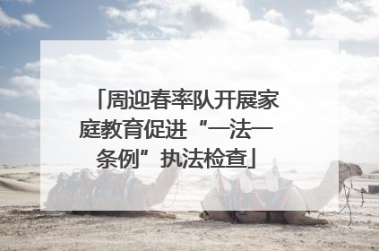 周迎春率队开展家庭教育促进“一法一条例”执法检查