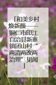 和美乡村焕新颜——铜仁市印江自治县新寨镇团山村“两清两改两治理”见闻