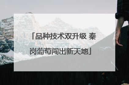 品种技术双升级 秦岗葡萄闯出新天地